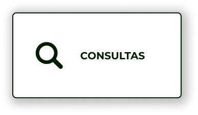 CONSULTAS.