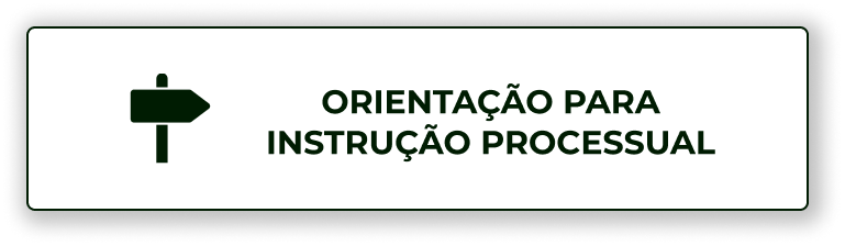 ORIENTAÇÃO PARA
INSTRUÇÃO PROCESSUAL.